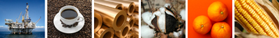 Commodity Futures and Options Trading